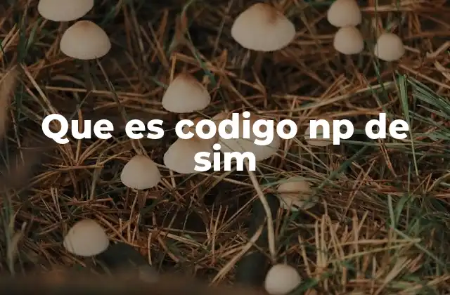 ¿Cómo se relaciona el código NP con la identidad de la SIM?