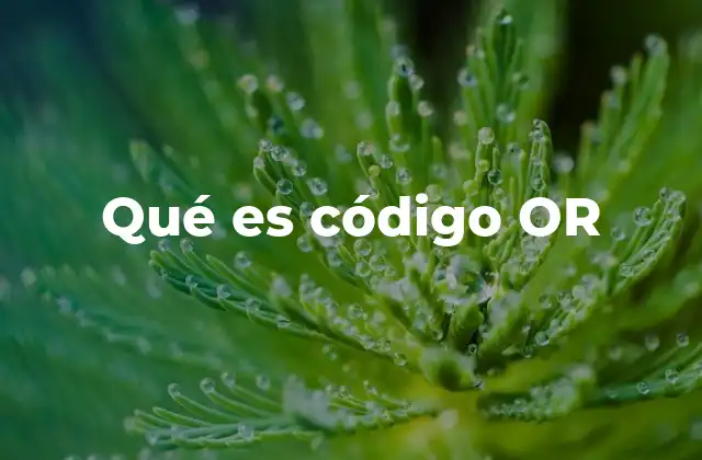 Qué es Código Or