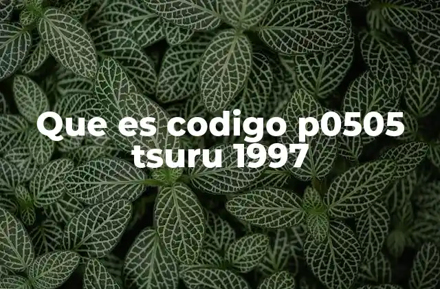 Que es Codigo P0505 Tsuru 1997