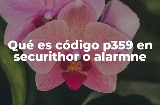 Qué es Código P359 en Securithor o Alarmne 2 Causas comunes del código P359 en sistemas de alarma
