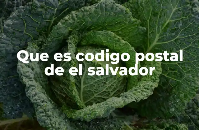 Que es Codigo Postal de el Salvador