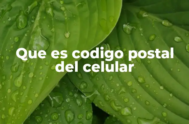 Que es Codigo Postal Del Celular