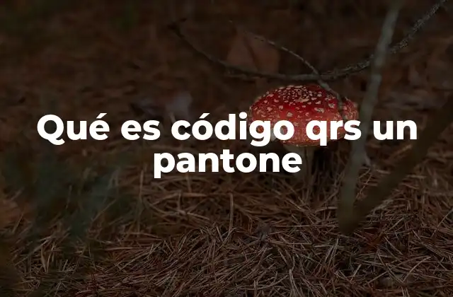 Qué es Código Qrs un Pantone 2 Cómo los códigos Pantone facilitan la comunicación en diseño