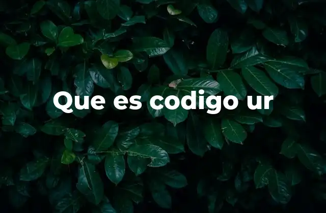 Aplicaciones del código UR en el desarrollo web