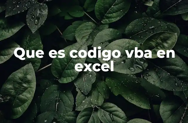 Que es Codigo Vba en Excel