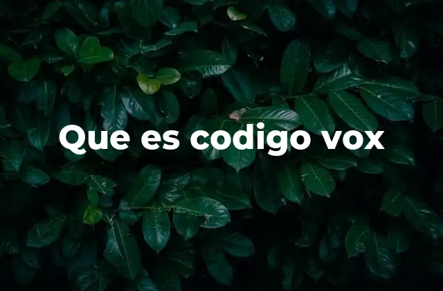 Que es Codigo Vox