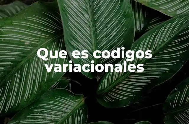 Que es Codigos Variacionales