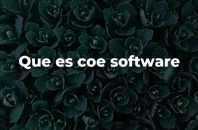Que es Coe Software 2 La importancia del COE Software en la transformación digital