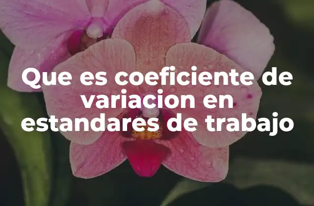 Que es Coeficiente de Variacion en Estandares de Trabajo 2 Aplicación del coeficiente de variación en la medición de la productividad laboral