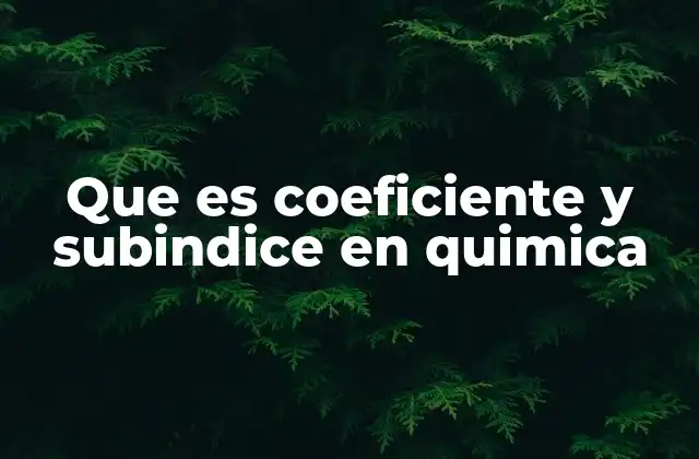 Diferencias esenciales entre coeficiente y subíndice