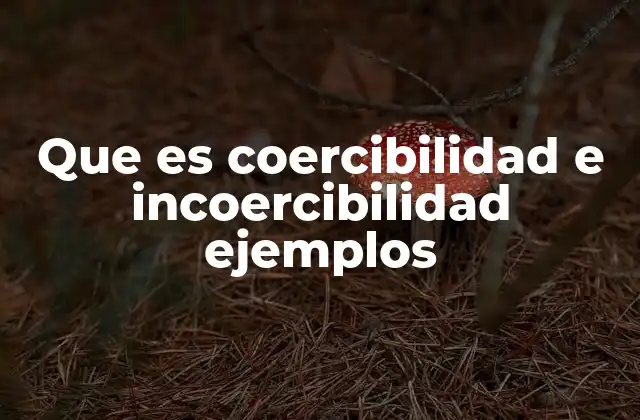 Que es Coercibilidad e Incoercibilidad Ejemplos