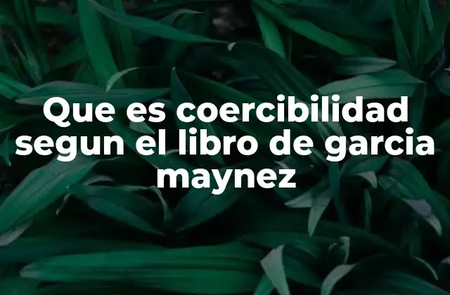 Que es Coercibilidad Segun el Libro de Garcia Maynez