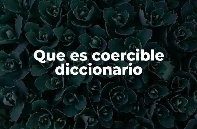 Que es Coercible Diccionario