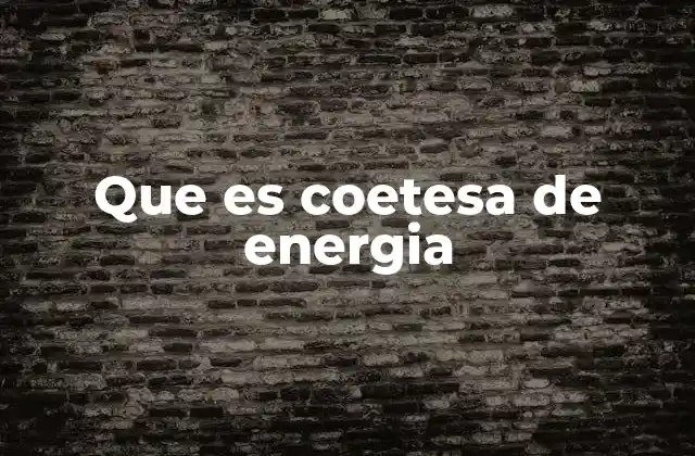 Que es Coetesa de Energia