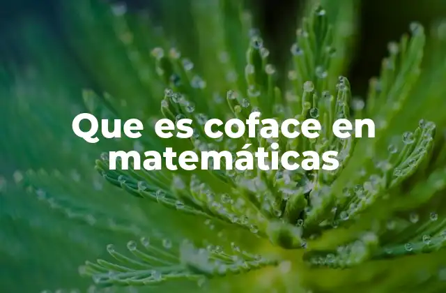 La importancia de los cofaces en la topología algebraica
