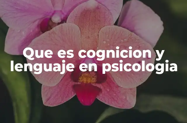 Que es Cognicion y Lenguaje en Psicologia