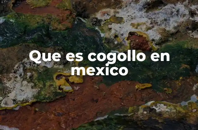 Que es Cogollo en Mexico