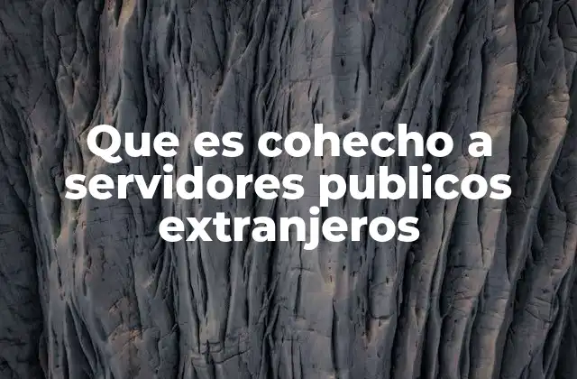 Que es Cohecho a Servidores Publicos Extranjeros