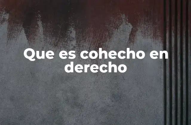 Que es Cohecho en Derecho