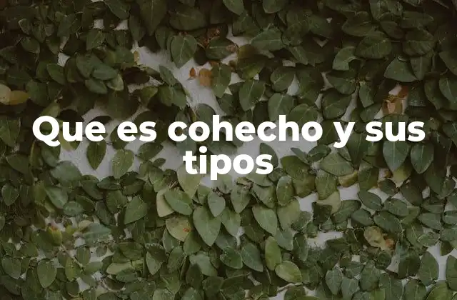 Que es Cohecho y Sus Tipos