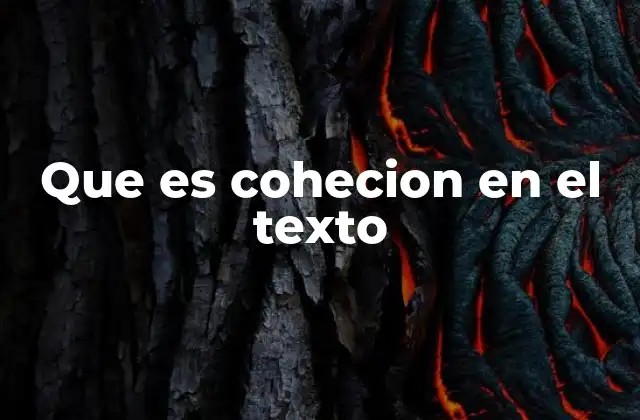 Que es Cohecion en el Texto