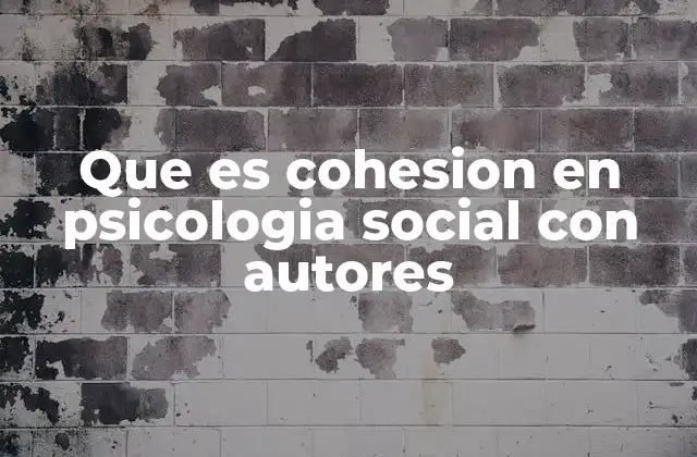 Que es Cohesion en Psicologia Social con Autores