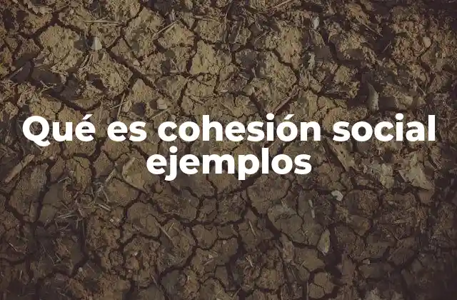 Qué es Cohesión Social Ejemplos