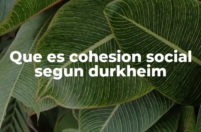 Que es Cohesion Social Segun Durkheim