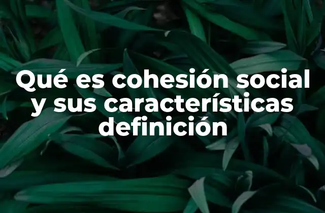 Qué es Cohesión Social y Sus Características Definición