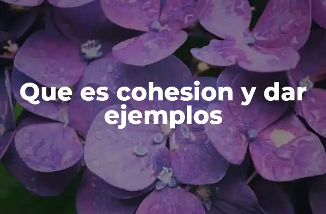 Que es Cohesion y Dar Ejemplos