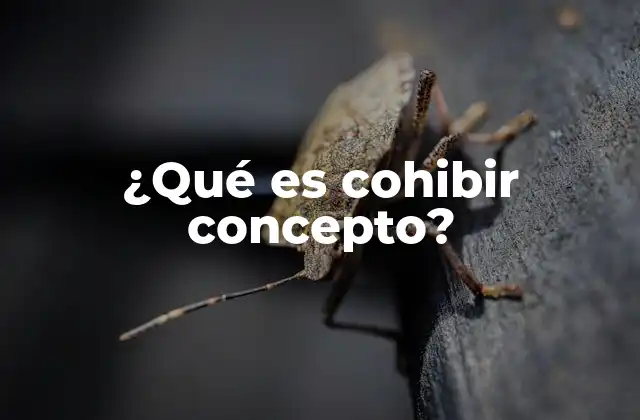 ¿qué es Cohibir Concepto?