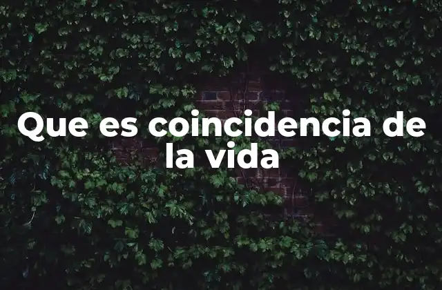Que es Coincidencia de la Vida
