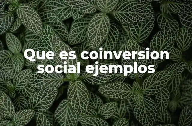 Que es Coinversion Social Ejemplos