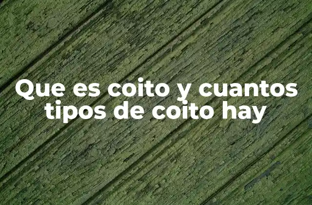 El coito en la historia y la cultura humana
