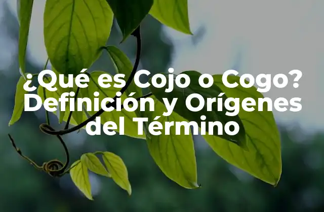 ¿qué es Cojo o Cogo? Definición y Orígenes Del Término