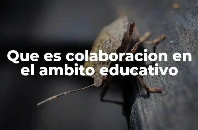 Que es Colaboracion en el Ambito Educativo
