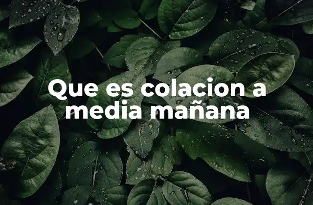 Que es Colacion a Media Mañana