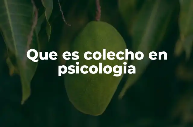 Que es Colecho en Psicologia