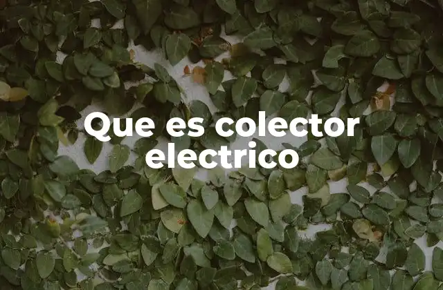 Componentes y funcionamiento del colector eléctrico