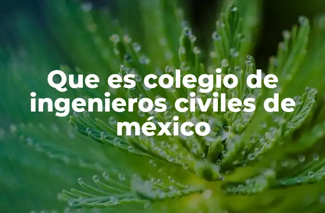 Que es Colegio de Ingenieros Civiles de México