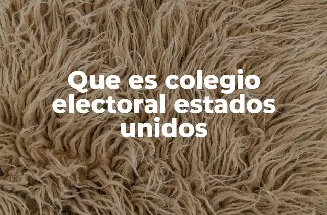 Que es Colegio Electoral Estados Unidos