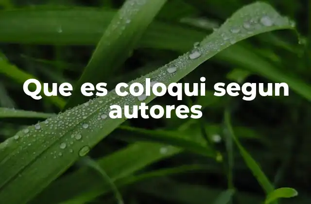 Que es Coloqui Segun Autores
