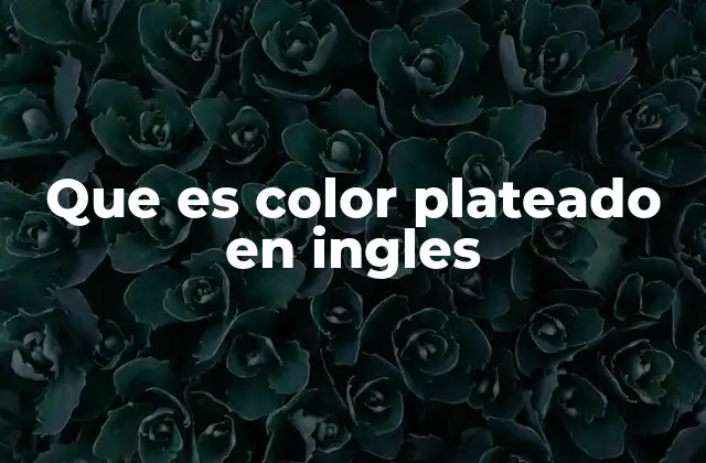 Usos del color plateado en contextos cotidianos