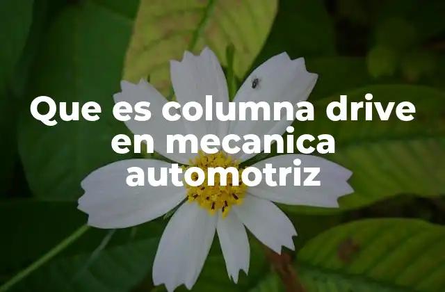 Que es Columna Drive en Mecanica Automotriz
