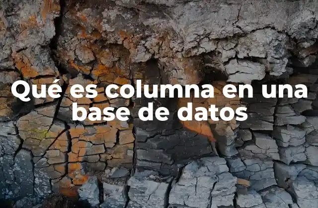 Qué es Columna en una Base de Datos