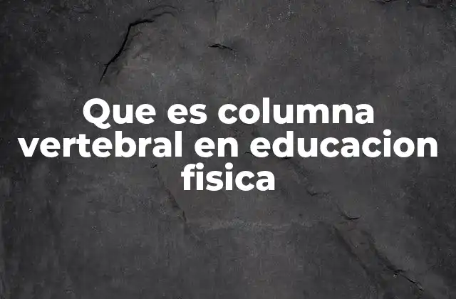 Que es Columna Vertebral en Educacion Fisica