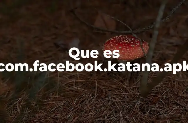 Que es Com.facebook.katana.apk