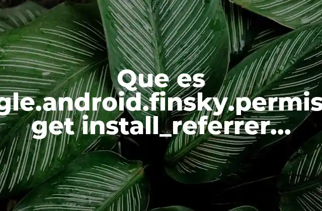 Que es Com.google.android.finsky.permission.bind Get Install_referrer Service