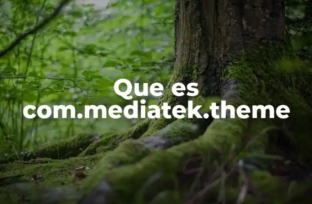 Que es Com.mediatek.theme