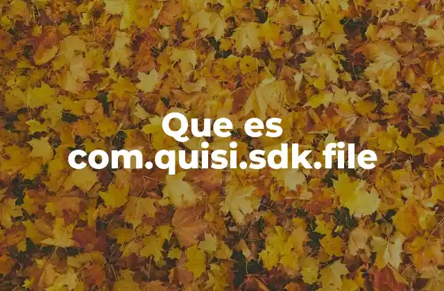 Que es Com.quisi.sdk.file